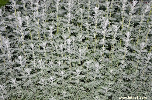 梦见涨水龙要吃我是怎么回事?