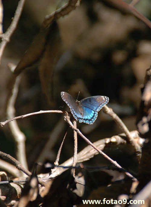 梦境解析，大蛇的挑战与克服——梦到一条大蛇，我咬了两口并扯断其头部的深层含义