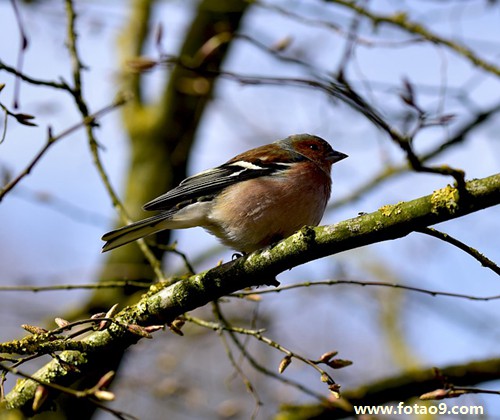 梦见姐姐可怜代表什么?
