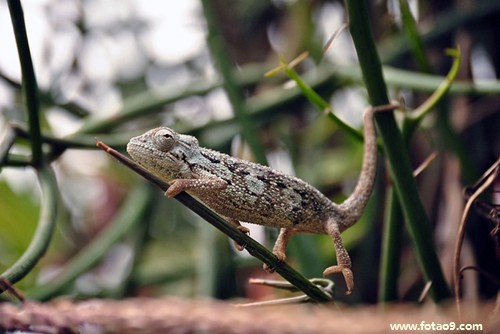 梦见开电车躲追杀是什么意思?