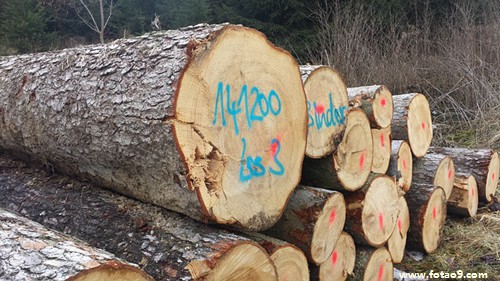 梦见好多熟人在挖坟