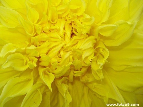 <em>梦见</em>厂里做了好多花样<em>短裤</em>_周公解梦查询_佛