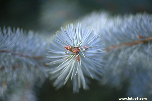 梦里梦见龙卷风怎么回事-为什么会有龙卷风
