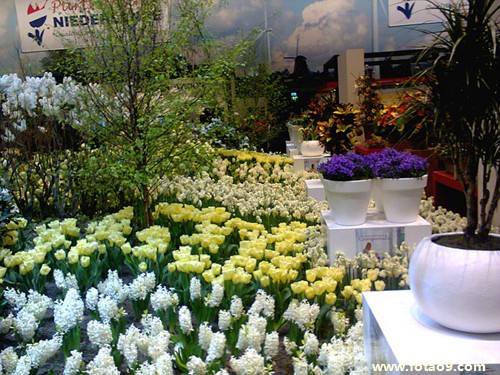 梦见儿孑屁股打烂了_周公解梦查询_佛滔算命