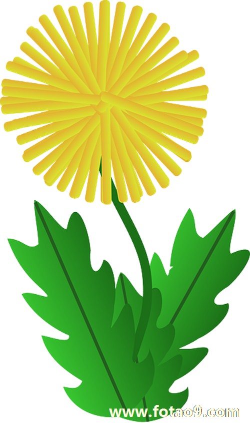 阳历2007年12月14日出生的女的命怎么样,命好