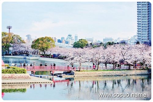 <em>梦见我扎头发</em>梳头发_周公解梦查询_佛滔算命