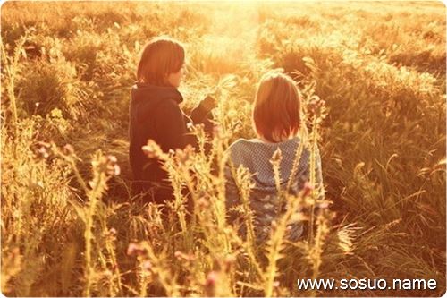 梦见野猫在我家和我打架