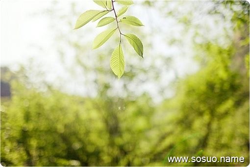 做梦梦见大雾是什么意思 做梦梦见大雾是什么意思