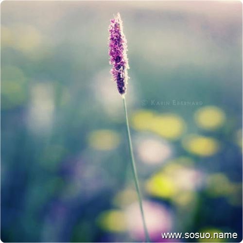 <em>梦见</em>被人拔下一股半白半<em>黑头发</em>_周公解梦查询