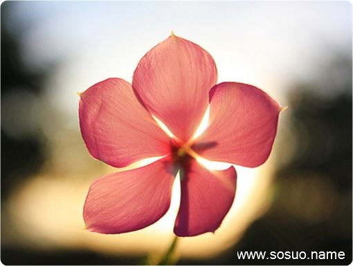 做梦梦见巫婆是什么意思 做梦梦见巫婆是什么意思