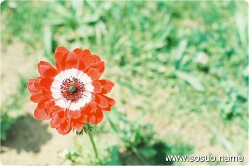 <em>梦见</em>照镜子头<em>胸罩</em>_周公解梦查询_佛滔算命网