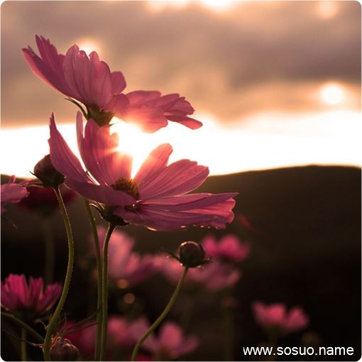 梦见艰难骑自行车