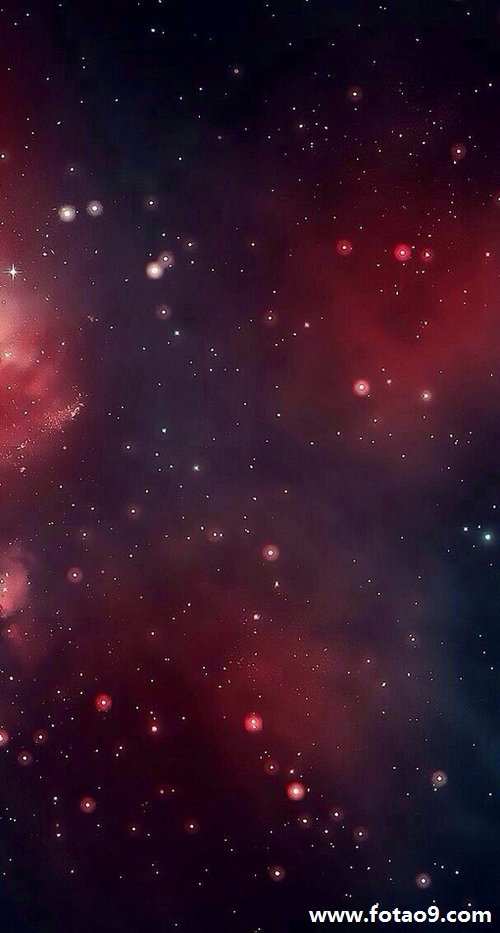 梦见老虎被蜜蜂蜇是什么意思?