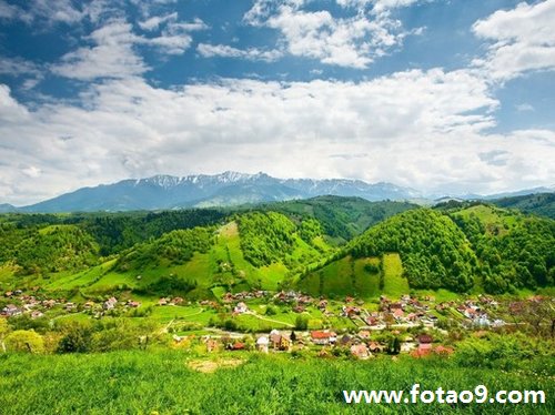 梦见梨树开花结了很多梨_周公解梦查询_佛滔