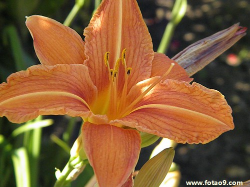 <em>梦见</em>的<em>头发被</em>前夫<em>剪短</em>好不好?_周公解梦查询