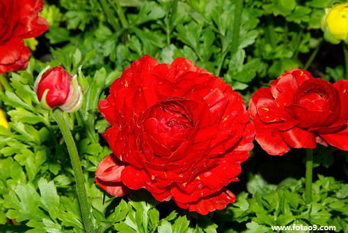 <em>梦见</em>婆婆<em>洗</em>湿<em>头发</em>是怎么回事?_周公解梦查询