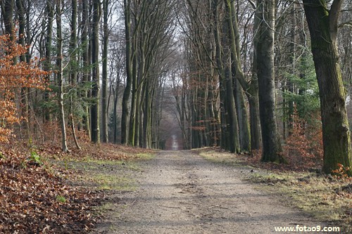 梦见鬼要烧纸钱是什么意思?