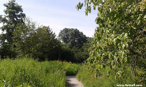 <em>梦见</em>男<em>朋友</em>用吹风机帮我吹<em>头发</em>的含义_周公解