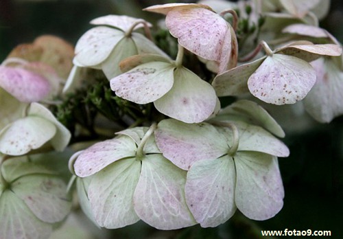 梦见修电路比赛好不好?