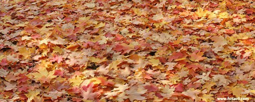 梦见女的给我洗内裤好不好?_周公解梦查询_佛