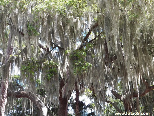 梦见到很多坟地遇到魔鬼吃人的含义