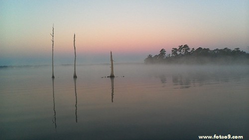 梦见手掌长泡挤水泡代表什么?_周公解梦查询