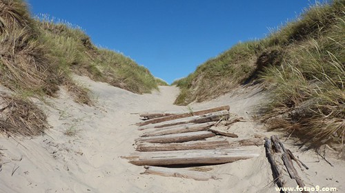 梦见喝水里有虫子又看到金鱼