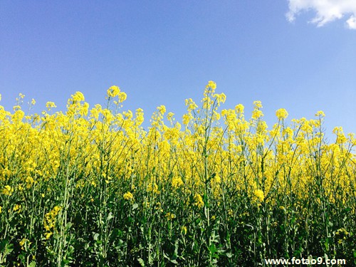 <em>梦见</em>两个女人的<em>头发好长</em>_周公解梦查询_佛滔