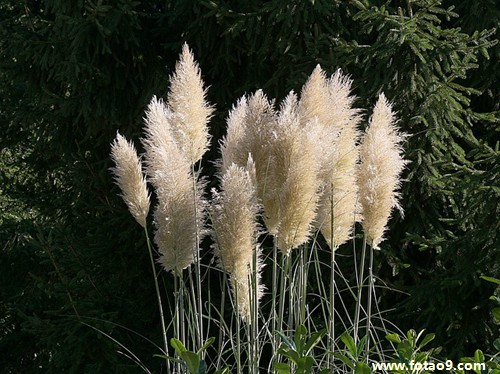 梦见我跟两个男生安然渡过追杀是怎么回事?