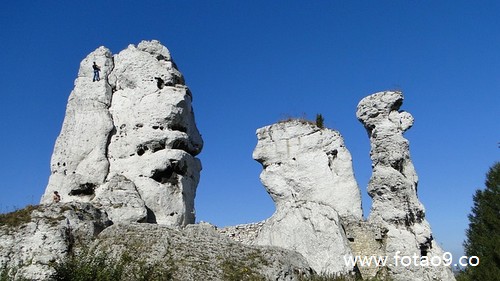 梦见<em>头发断</em>里面还有小虫子代表什么?_<em>周公解</em>