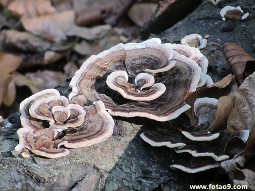 梦见自己穿不一样的鞋图片_梦见自己穿不一样