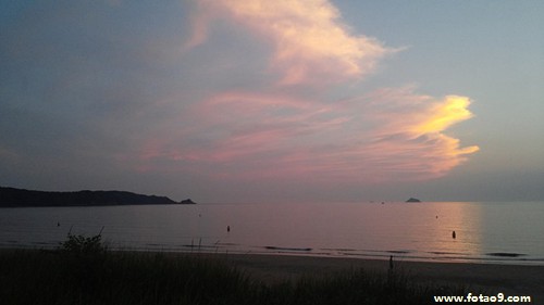 梦见友人亲我代表什么?