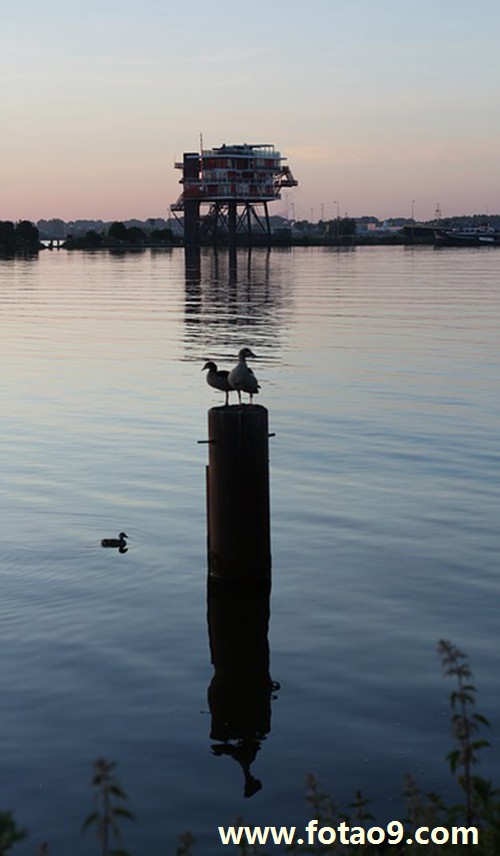 <em>梦见</em>被人烧<em>头发</em>成<em>秃顶</em>代表什么?_周公解梦查