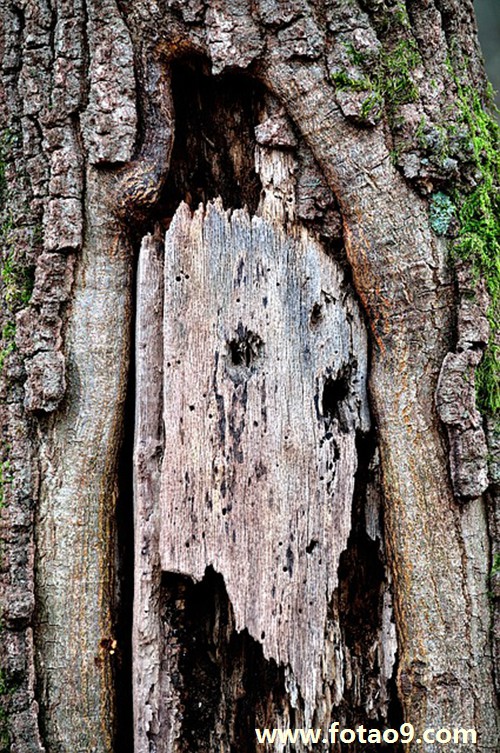 <em>梦见</em>自己洗头<em>头发剃</em>光了有疤痕_周公解梦查询