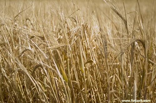 梦见女明星浏海不好看呆呆的是什么意思?