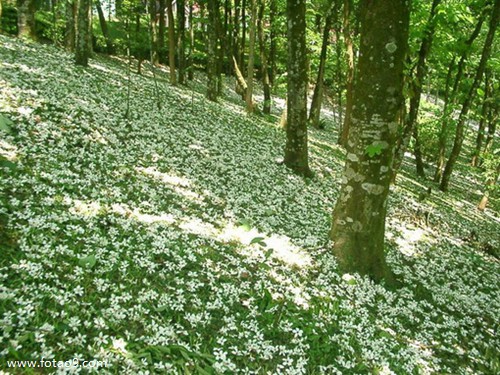 <em>梦见</em>女<em>朋友</em>给自己剪发_周公解梦查询_佛滔算