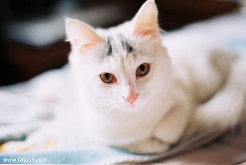 梦见自己在大河了洗澡是什么-梦见 大河 是什么