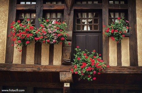 梦见出殡队伍是怎么回事?_周公解梦查询_佛滔