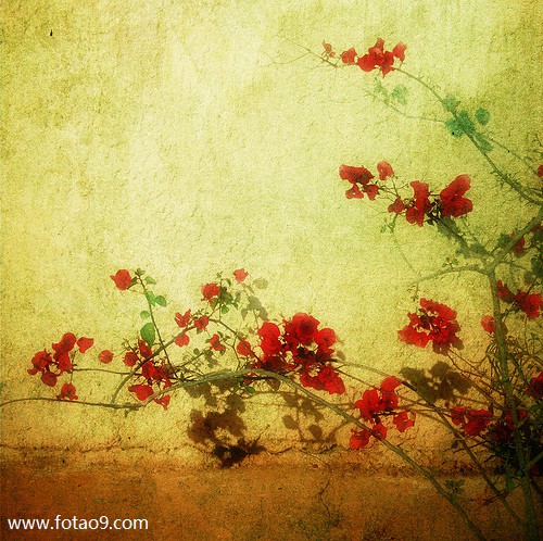 <em>梦见</em>我的娘娘在我面前戴<em>胸罩</em>_周公解梦查询_