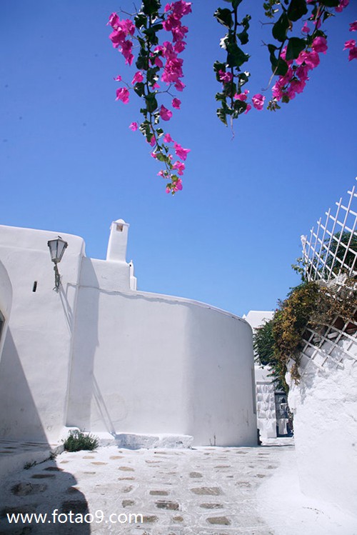 梦见邻居递烂提子给我好不好?_周公解梦查询