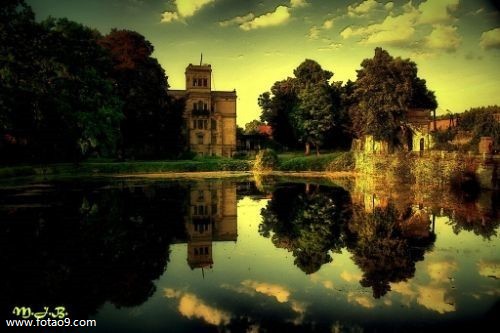 梦见给学生平均分猪肉是怎么回事?_周公解梦