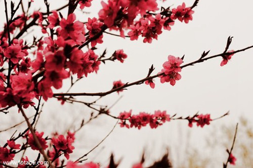 梦见回家时房门打开好不好?_周公解梦查询_佛