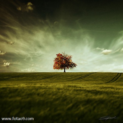 梦见柜子有夹层是怎么回事?