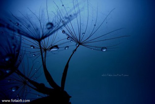 梦见和男友生孩子宝宝留血