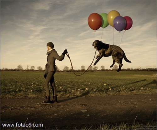 梦见自己大肚子老公和我离婚