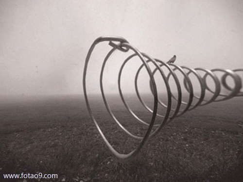 梦见手被猫抓破流血好不好?_周公解梦查询_佛