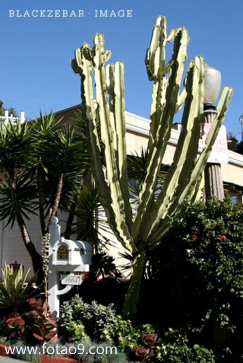 梦见死去的亲人挖水井代表什代表什么?