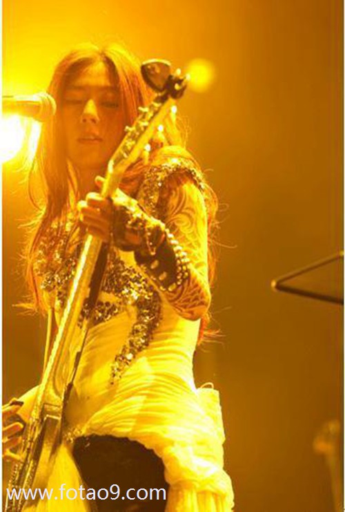 梦见家里的狗在流血好不好?