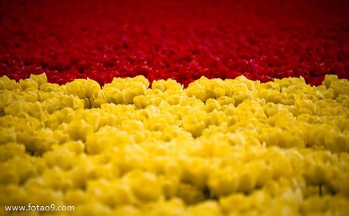 <em>梦见</em>梦<em>朋友头发</em>白的发光的含义_周公解梦查询