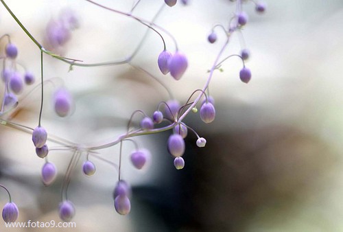 梦见<em>干老婆姐姐</em>代表什么?_周公解梦查询_佛滔